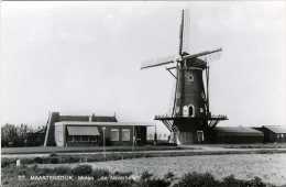 SINT-MAARTENSDIJK - Tholen (Zeeland) - Molen/moulin - Stellingmolen De Nijverheid In 1969 Voor Verval En Restauratie - Tholen