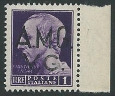 1945-47 TRIESTE AMG VG IMPERIALE 1 LIRA MNH ** - SV9-5 - Mint/hinged