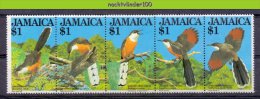 Naa1959 FAUNA VOGELS KOEKOEK CUCKOO KUCKUCK BIRDS VÖGEL AVES OISEAUX JAMAICA 1982 PF/MNH - Cuckoos & Turacos