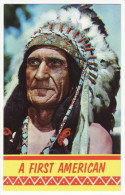 A FIRST AMERICAN ~ INDIAN CHIEF HEAD PORTRAIT ~c1960s Postcard ~NATIVE AMERICANA [5756] - Amérique