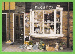 THE CAT SHOP / GEORGE V PLACE / WINDSOR / Carte écrite / Card Written On 1992 - Windsor