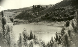 South Rodhesia-Greetings From Troutbeck Inn Invanga-1958 - Zimbabwe