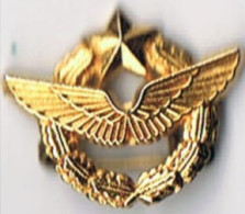 Insigne  Armée De L'air   Doré Or Fin - Fuerzas Aéreas