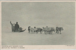 GROENLAND, Retour Du Traineau à La Chasse, Animée - Greenland