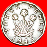 * WARTIME (1939-1945): UNITED KINGDOM★3 PENCE 1943 GEORGE VI (1937-1952)! INTERESTING TYPE! LOW START★NO RESERVE! - F. 3 Pence