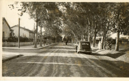 PERREGAUX (Algérie) Boulevard Automobile Petite Animation - Altri & Non Classificati