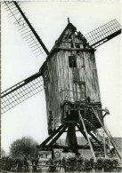 ASPELARE Bij Ninove (O.Vl.) - Molen/moulin - De Verdwenen Molen De Smet Of "De Tortelboom" Kort Voor De Afbraak - Ninove