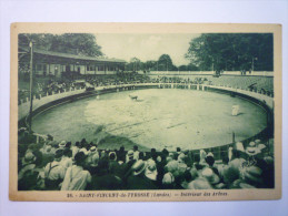 SAINT-VINCENT-de-TYROSSE  (Landes)  :  Intérieur Des  Arènes     (4) - Saint Vincent De Tyrosse