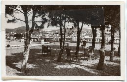 - 37 - Banyuls-su-Mer - ( Pyr. Or. ), Bois De Pins De La Terrasse Du Miramar, Non écrite, TBE, Scans. - Banyuls Sur Mer