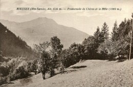 Mieussy Promenade De Cheres Et Le Mole - Mieussy