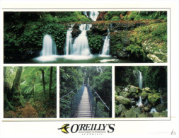 (414 PF) Australia - QLD - O'Reilly's Waterfalls - Sunshine Coast