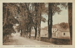 Auberive (52) Promenade Entre Deux Murs - Auberive
