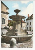 Carte Postale : L´Isle Sur Serein   : La Fontaine  : Glaçée Couleur - L'Isle Sur Serein