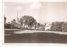 Haute Loire - 43 - Montfaucon Du En Velay Carte Photo - Montfaucon En Velay