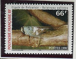 (cl 33 - P45) Polynésie ** N° 516 - Cigale - - Unused Stamps