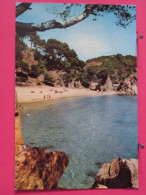 Carte Pas Très Courante - Espagne - Lloret De Mar - Playa Santa Cristina - Scans Recto Verso - Gerona