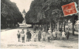 MIREBEAU SUR BEZE ... LES MARONNIERS - Mirebeau