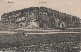 AK Zittau Hörnitz Bergrestaurant Koitzsche Koitsche Gasthaus Baude Bei Hainewalde Mittelherwigsdorf Bertsdorf Bahnpost - Bertsdorf-Hoernitz