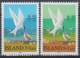 Iceland ScB23-4 Bird, Arctic Terns, Oiseau - Palmípedos Marinos