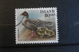 Islande - Année 1990 - Anser Brachyrhynchus - Y.T. 676 - Oblitéré - Used - Gestempeld - Usati