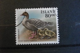 Islande - Année 1990 - Anser Brachyrhynchus - Y.T. 676 - Oblitéré - Used - Gestempeld - Gebraucht