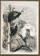 Dessin Gustave Doré, Fable De La Fontaine, Dindons, Renard - Photo Avec Estampille Bibliothèque De Nancy - Dessins