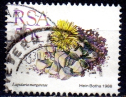 SOUTH AFRICA 1988 Succulents - 50c. - "Lapidaria Margaretae" FU - Used Stamps