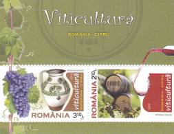 VITICULTURE ,Wine,Vins,Grape,2010 MNH Block Romania. - Vini E Alcolici