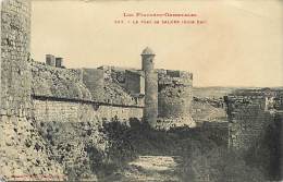 Pyrenees Orientales - Ref- U 396 - Salses - Le Fort De Salces ( Cote Est ) - Forts - - Salses