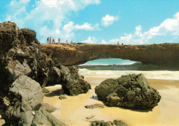 ARUBA   ANTILLES    ARUBA'S FAMOUS AND UNIQUE NATURAL  BRIDGE     (NUOVA) - Aruba