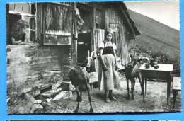 N138, Chèvres Devant Un Chalet Suisse, Schweiz, Bergerie,bergère, Animée, Goat, Ziege, 1072, Non Cirulée - Other