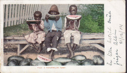 United States CPA Black Americana (7439) A Watermelon Feast Detroit Photo Co., NEW ORLEANS 1904 LONDON England (2 Scans) - Negro Americana