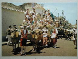 Canarias, Tipica Romeria, Feria: Bullock Cart - Sonstige & Ohne Zuordnung