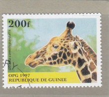 Rep. Guinea 1997  -  Yt 1111  Used   Animali - Giraffes