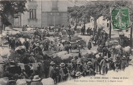 RHONE  69  COURS  CHAMP DE FOIRE  BOEUFS - Cours-la-Ville