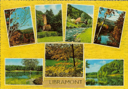 CP Un Bonjour De LIBRAMONT - Libramont-Chevigny