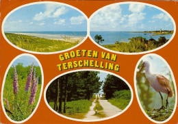 CP Groeten Van TERSCHELLING . - Terschelling