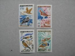 S P M    P 364/367 * *   OISEAUX - Unused Stamps