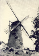 Eksel Stenen Windmolen - Hechtel-Eksel