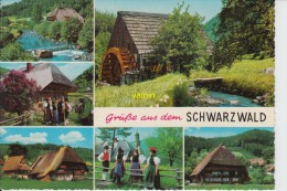 Foret Noire  Schwarzwald - Bad Herrenalb