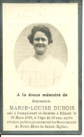 Rouvroy Dampicourt   Dinant Marie Louise  Dubois  1913 1932 - Rouvroy