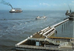 03959 - CUXHAVEN  Motorschiff JAN--CUX An Der Alten Liebe - Cuxhaven