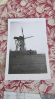 FOTO WINDMOLEN BAASRODE L1769 - Dendermonde