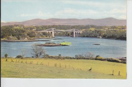 The Menai Suspension Bridge - Caernarvonshire