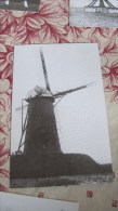 WINDMOLEN WUUSTWEZEL L1794 - Wuustwezel