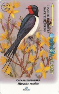 Bulgaria - Hirundo Rustica Song Birds, 34BULB, 02-1996, 25.000ex, Used - Bulgaria