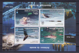 GUINEA REPUBLIC Marine Mammals - Baleines