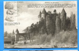 AVR005, Château De Grandson, Armoiries Des Sires De Grandson, 4510, Circulée 1920 - Grandson