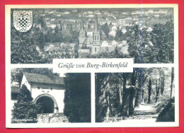 163990 / Birkenfeld - Burg Birkenfeld - BLICK BIRKENFELD , HISTORISCHES  Torhaus BURGANLAGE - Germany Deutschland - Birkenfeld (Nahe)