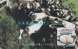 TC JAPON / 110-011 - ANIMAL - VACHE - FROMAGE CAMEMBERT HOKKAIDO - COW & CHEESE JAPAN Phonecard - KUH & KÄSE - 75 - Vaches